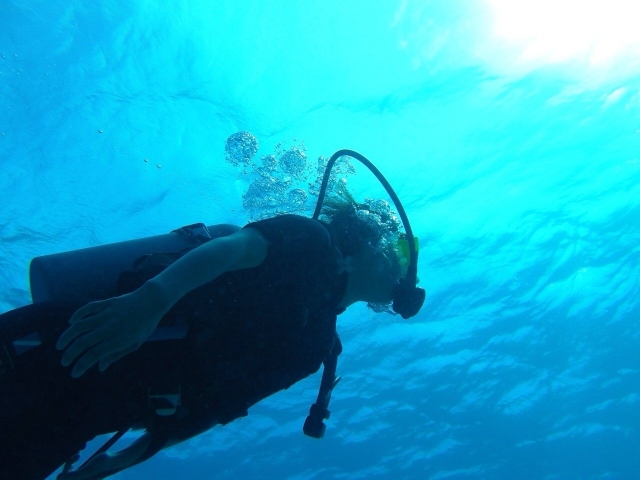 ウェットスーツのイメージ画像