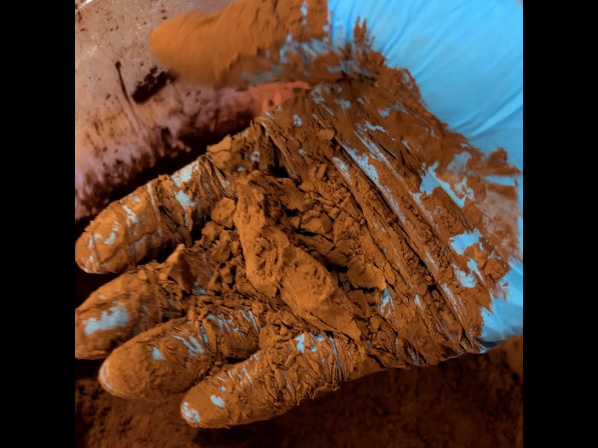 排出テストで使ったココアの状態